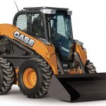 Bobcat